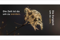 27_Zeit_Ewigkeit_Frame_1920